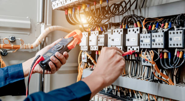 Best Electric Panel Repair  in Black River Falls, WI